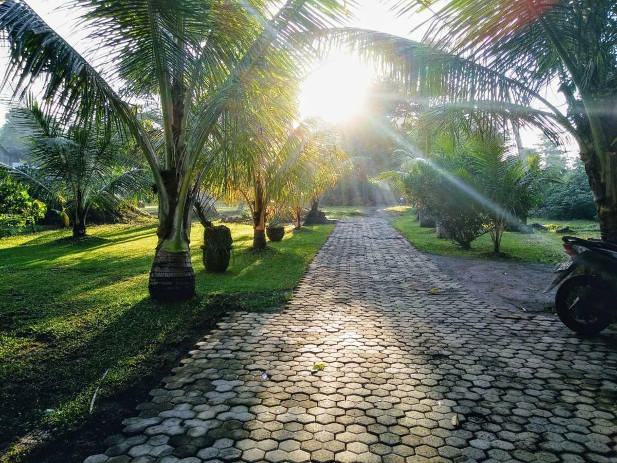 Dhiari Wisma tamu *