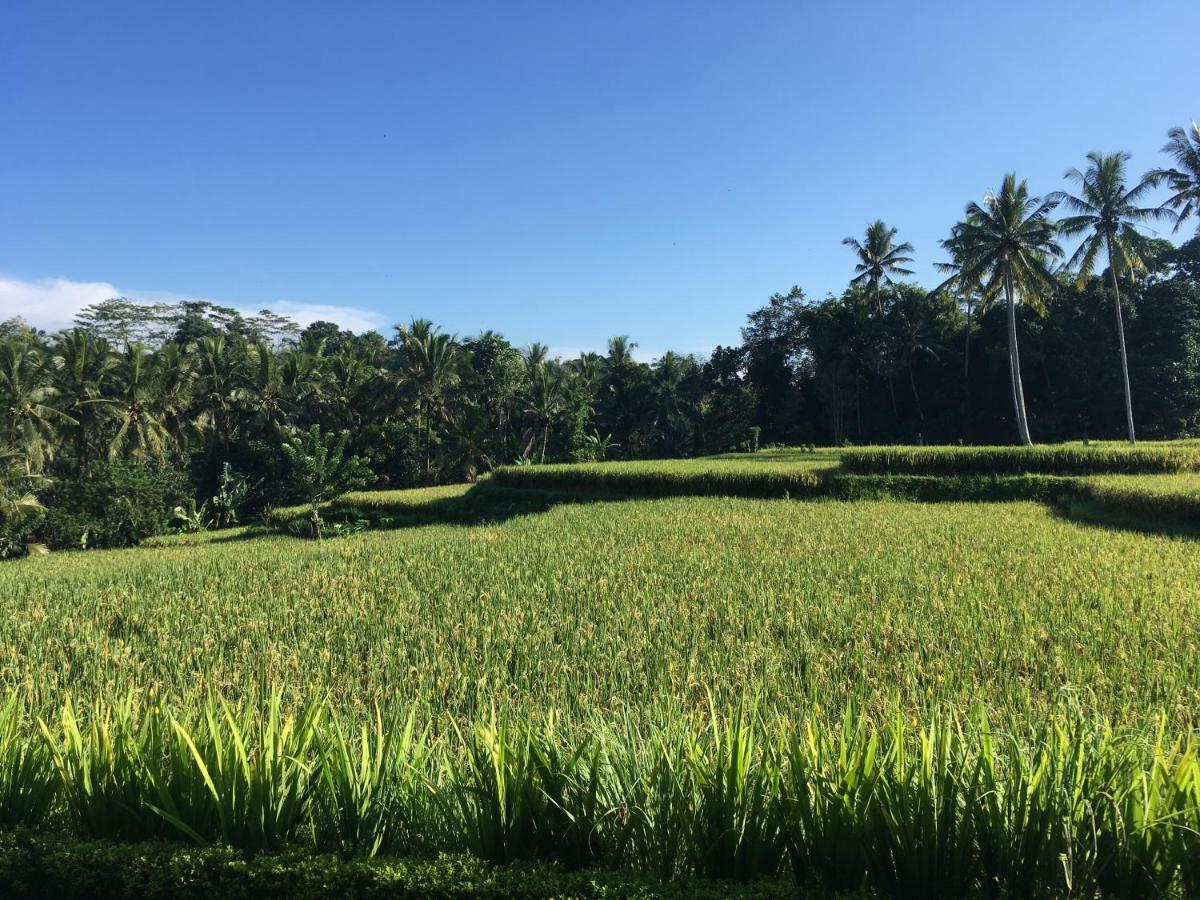Puri Raya Ubud (Bali)