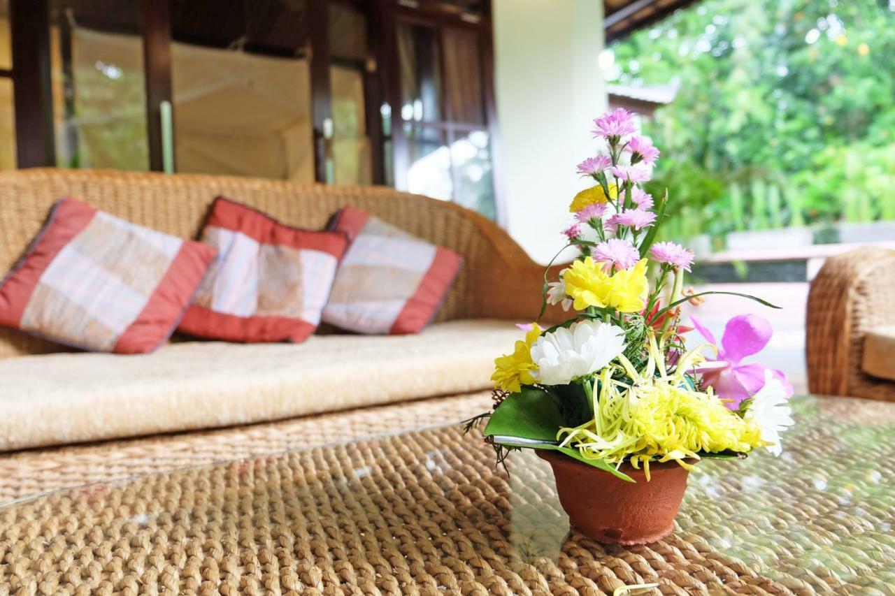 Rumah Kelinci