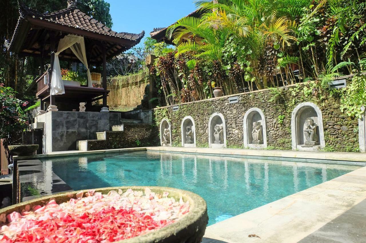 Rumah Kelinci