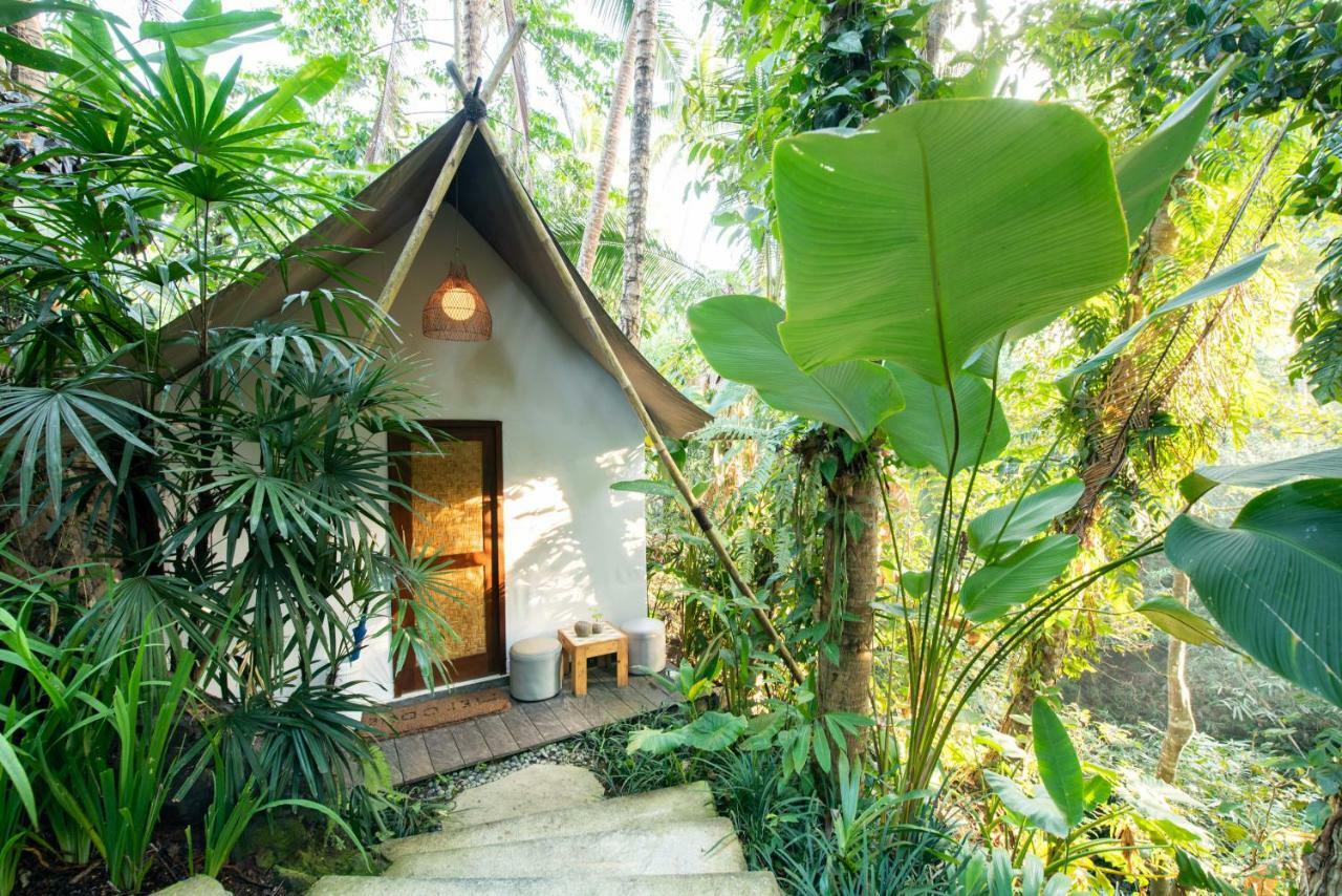 Tropical Hostel Ubud (Bali)