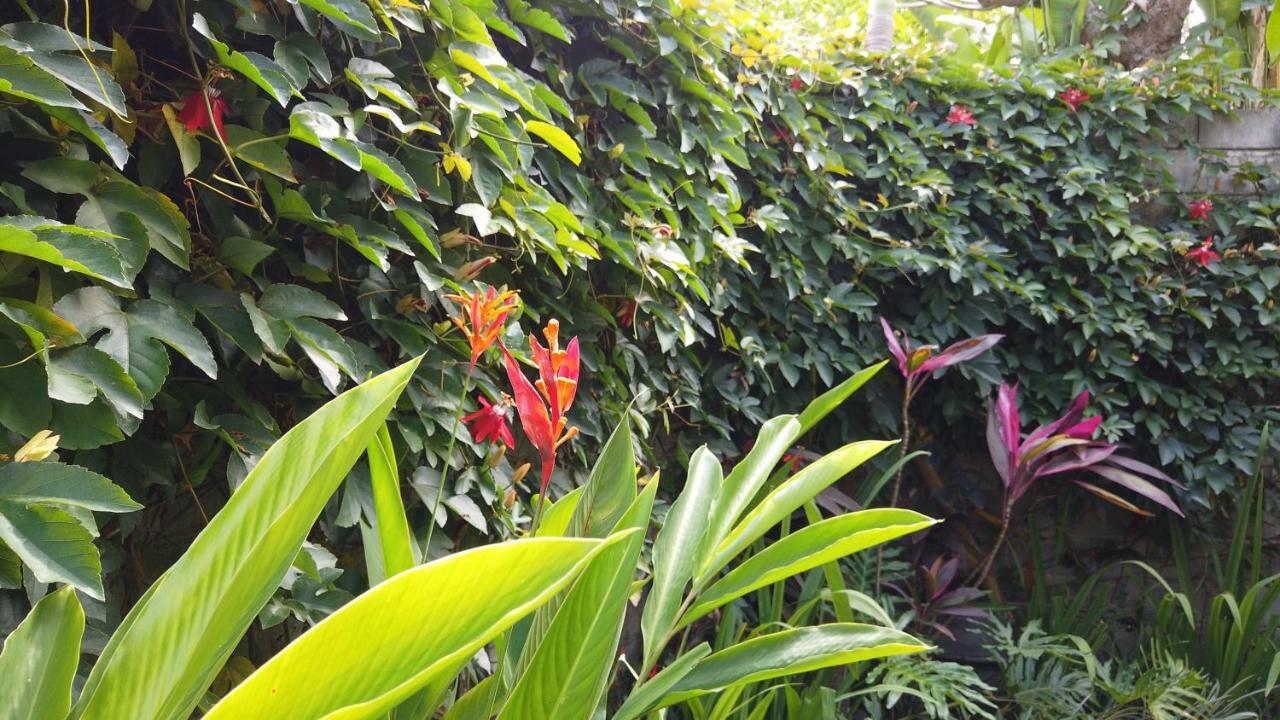 Sindu Villa Ubud (Bali)