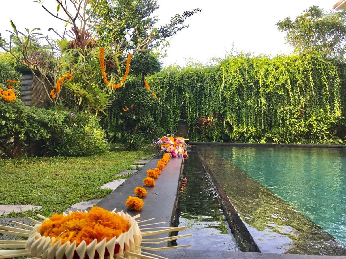 Villa Paradise