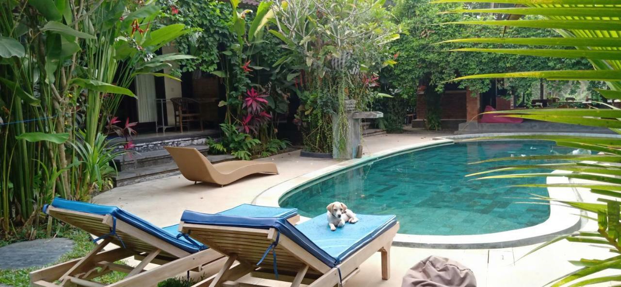 Wisma tamu Baliwid Ubud (Bali)
