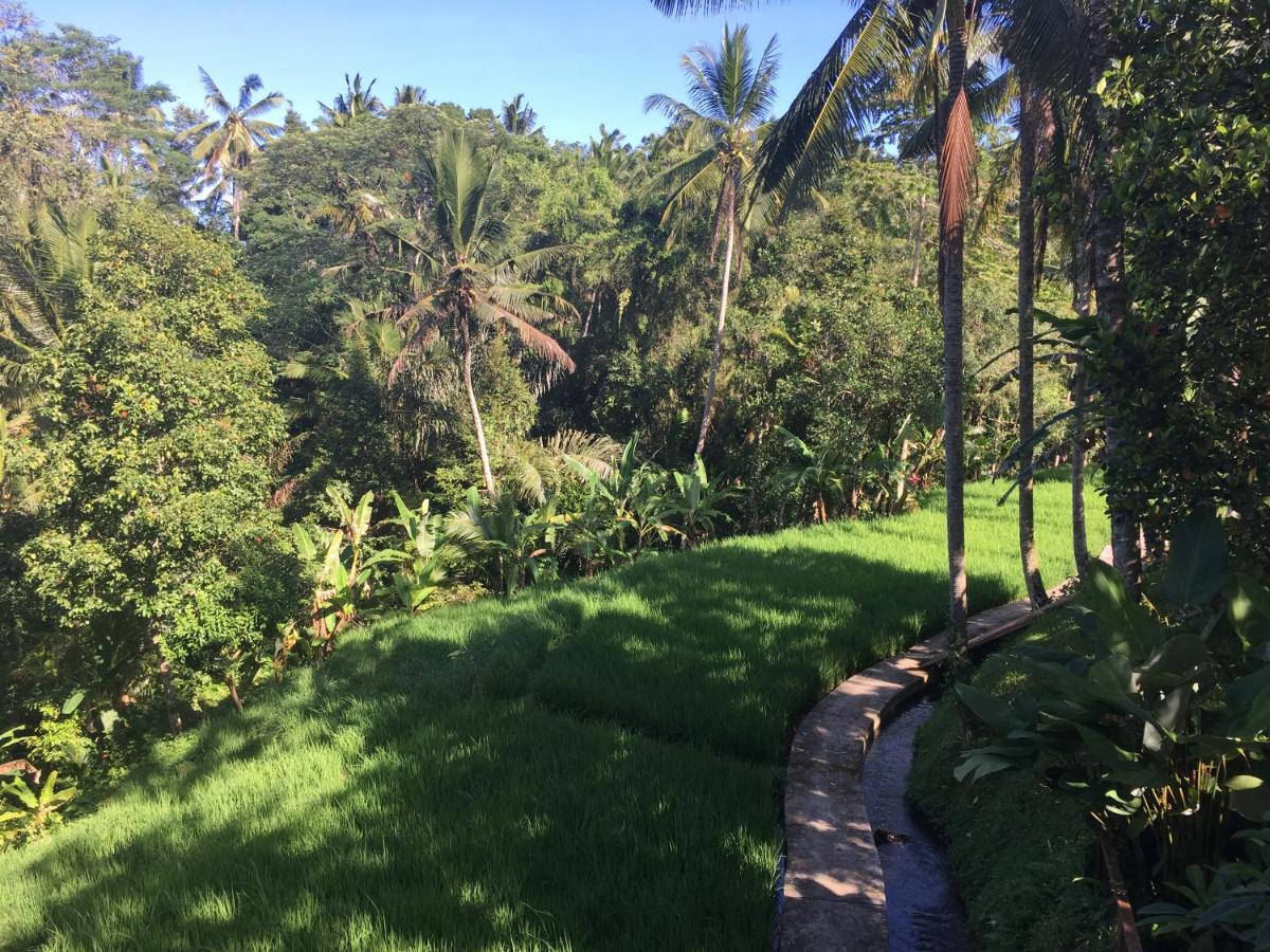Villa Puri Raya Ubud (Bali)