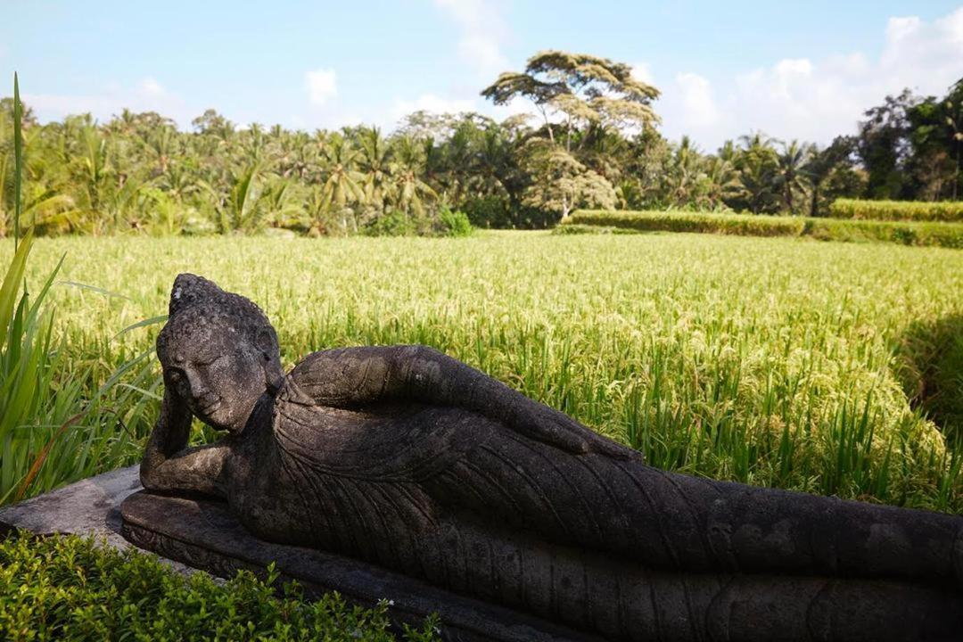 Puri Raya Ubud (Bali)