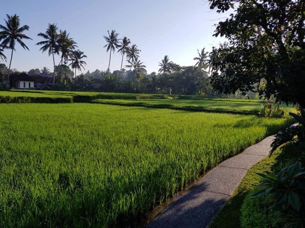 Villa Puri Raya Ubud (Bali)