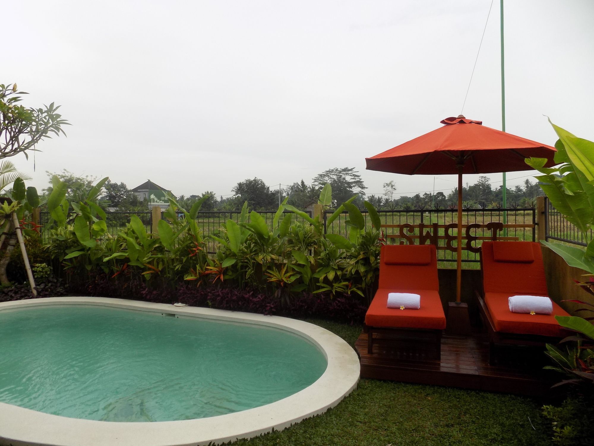 Candy * Ubud (Bali)
