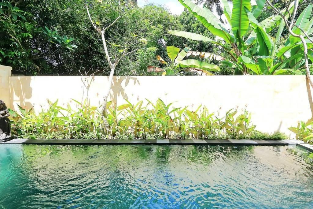 Villa Blue Lotus