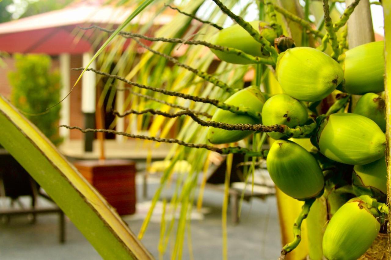 Dhiari Wisma tamu Ubud (Bali)