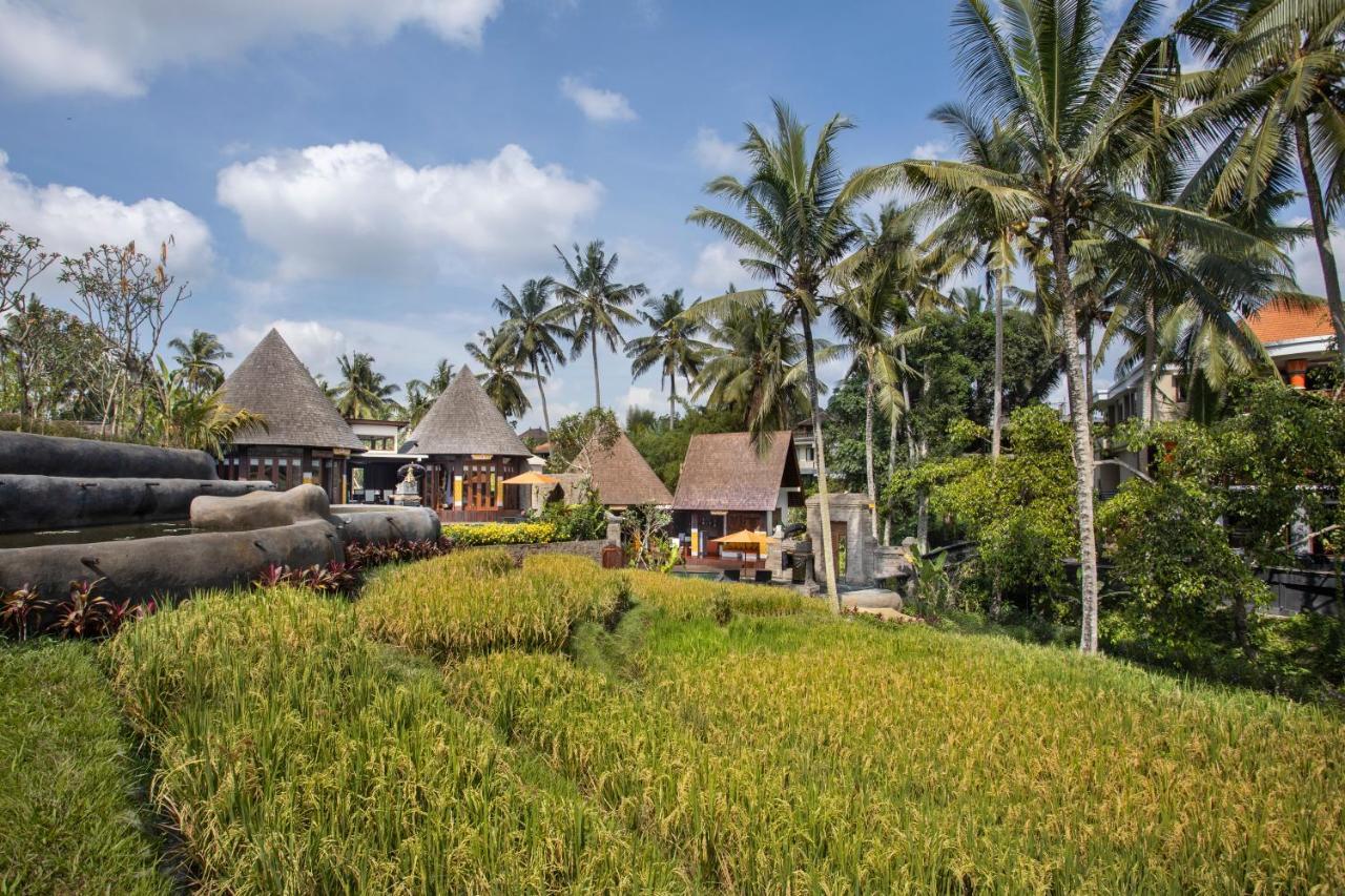Field Resort 4*
