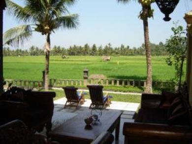 Green Field And Bungalow Hotel Ubud