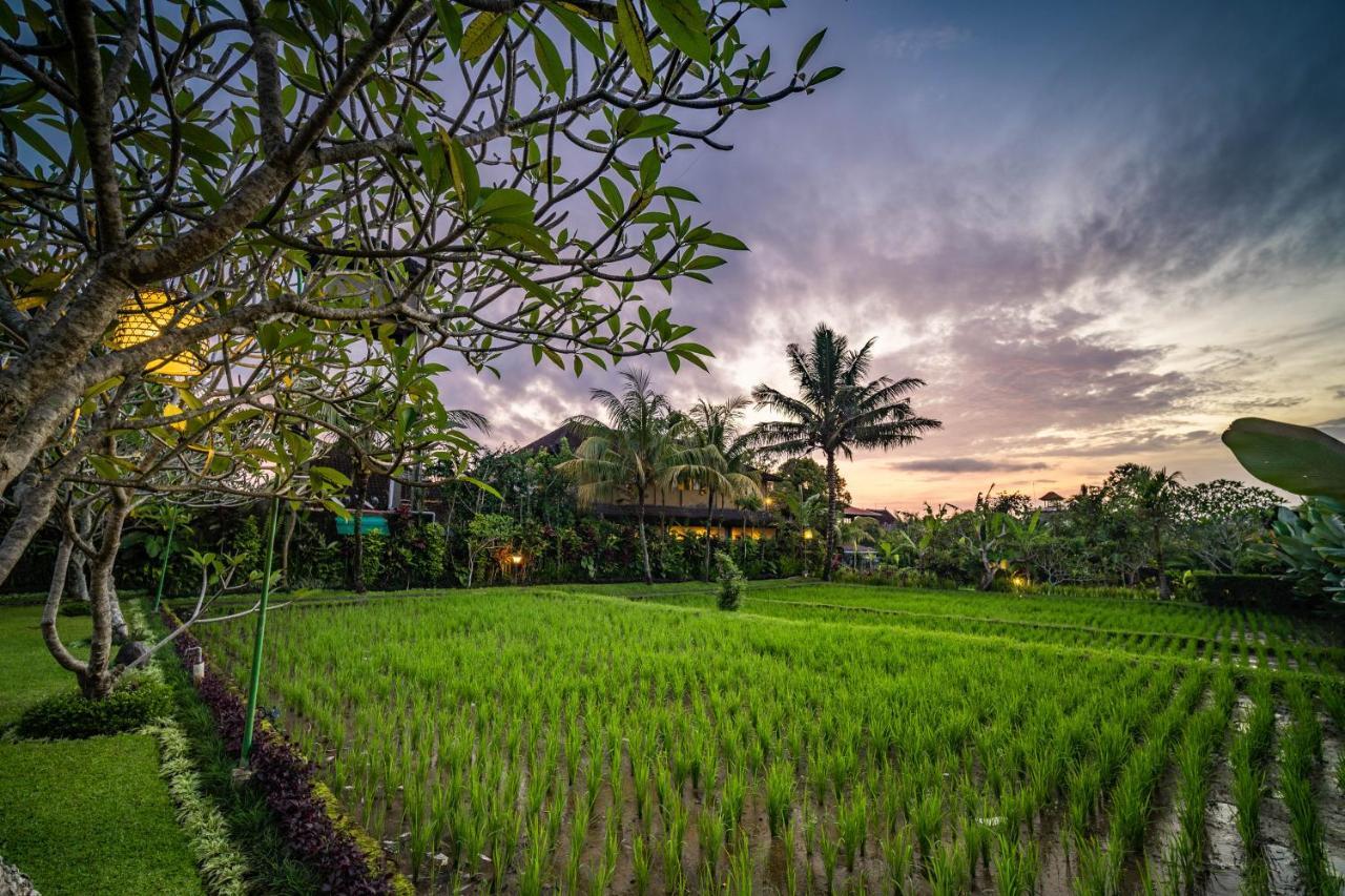 Villa Bliss Luxury Ubud (Bali)