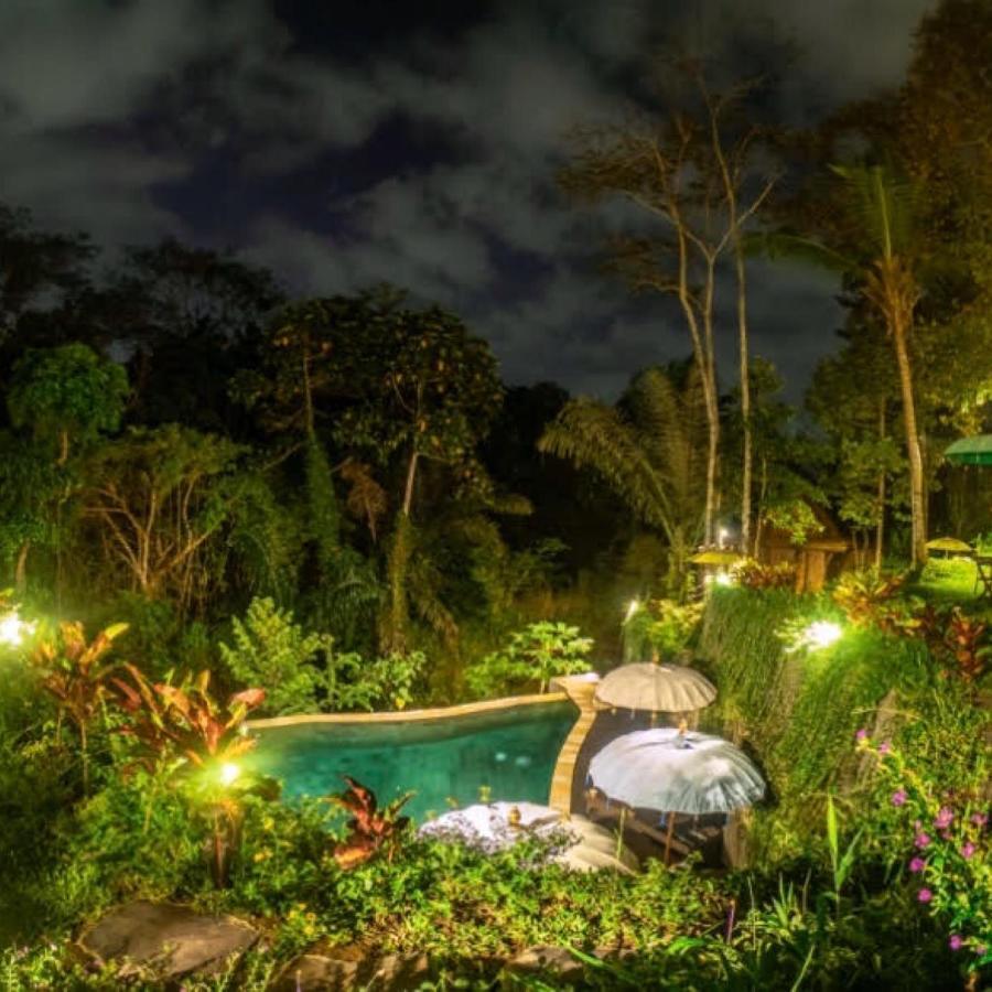 The Jungle Family Pousada *