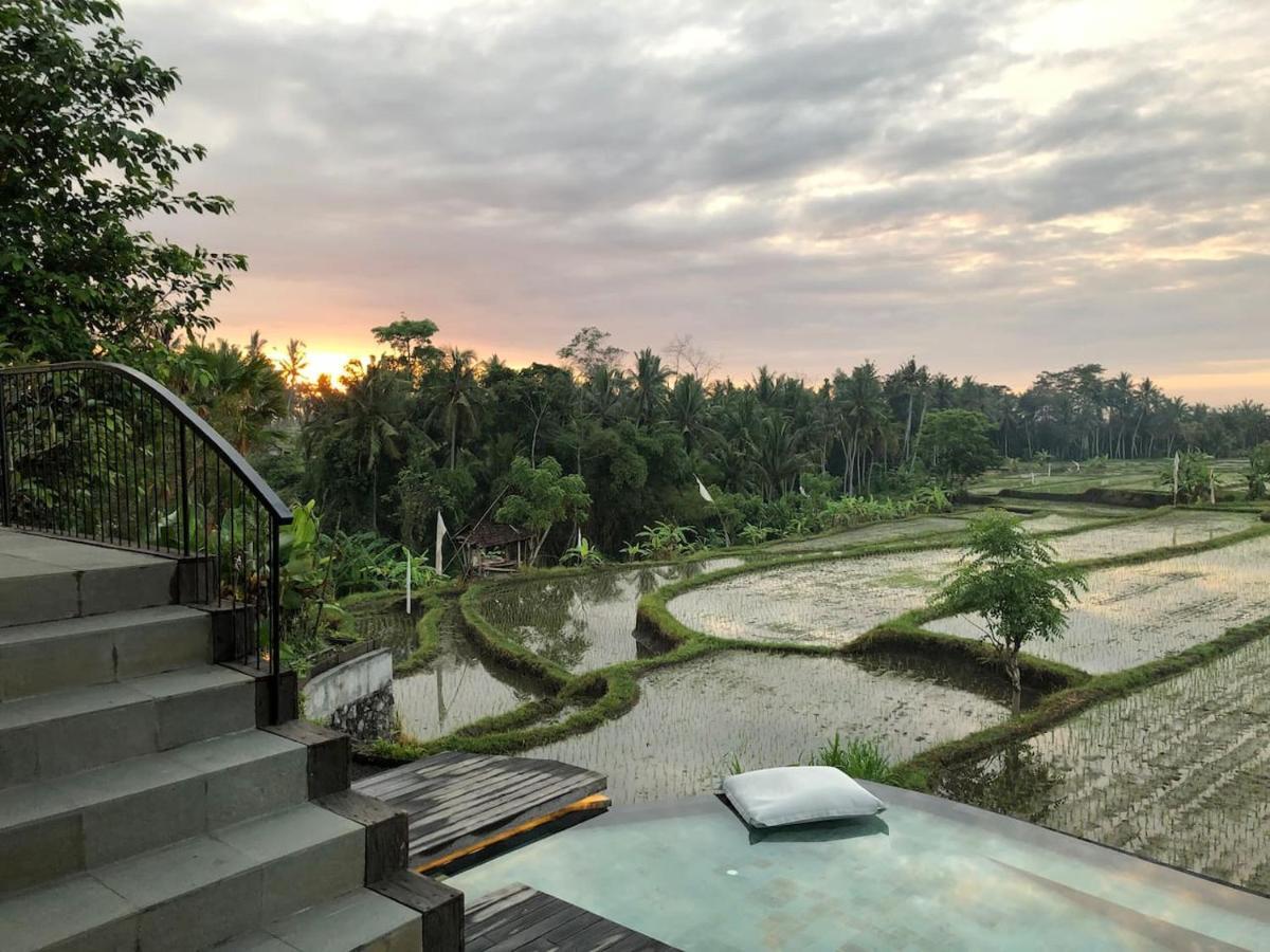 The Flow House Villa *