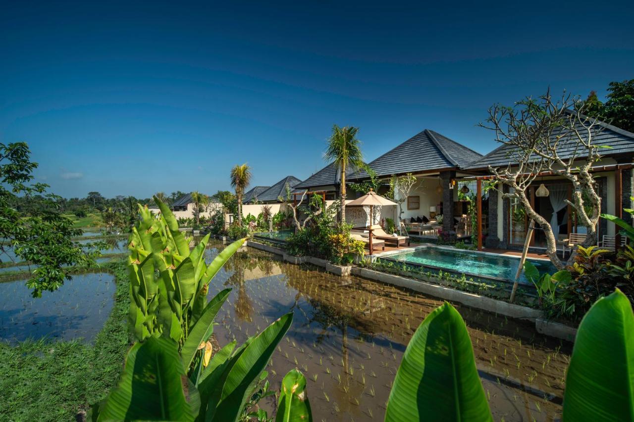 Villa Bliss Luxury Ubud (Bali)
