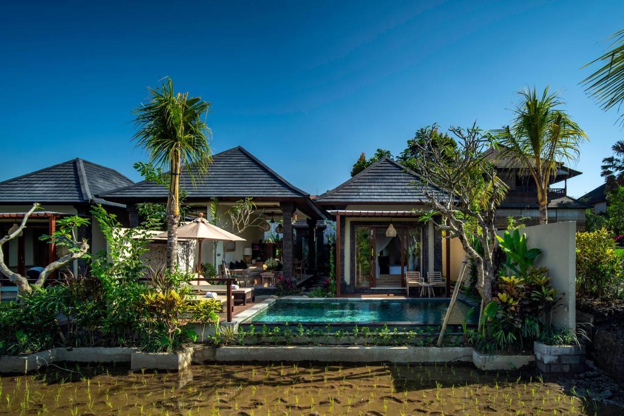 Bliss Luxury *