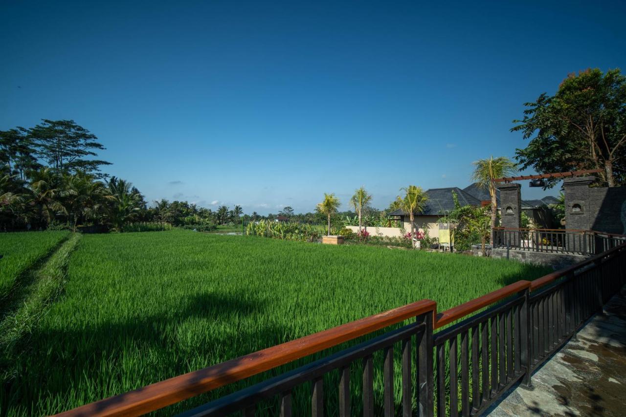 Bliss Luxury Villa *