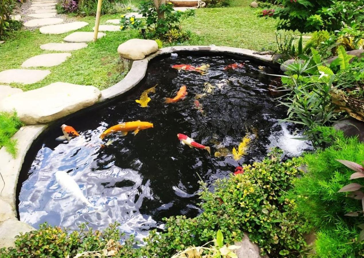 Batantop Guest house *