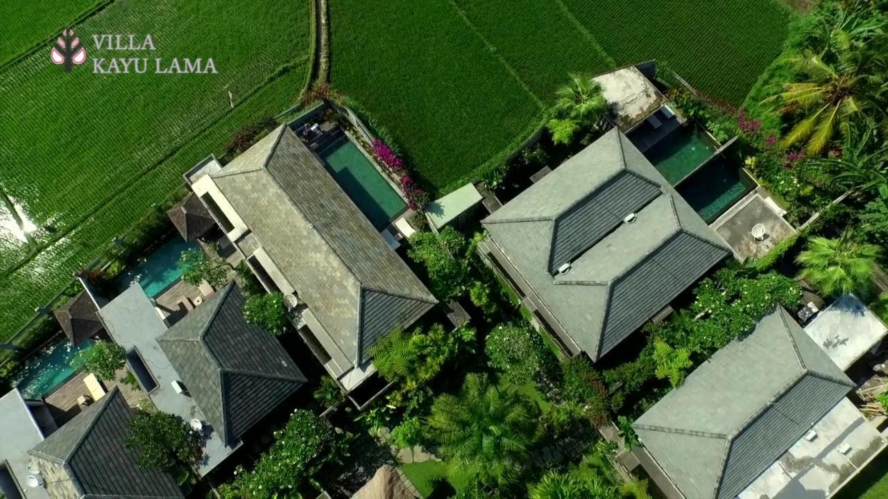 Kayu Lama *