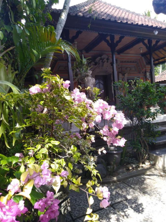 Casa de hóspedes Dani