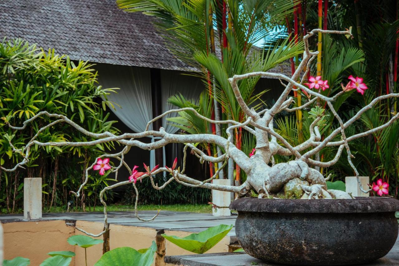 Bed & Breakfast Sunset Hill Ubud (Bali)