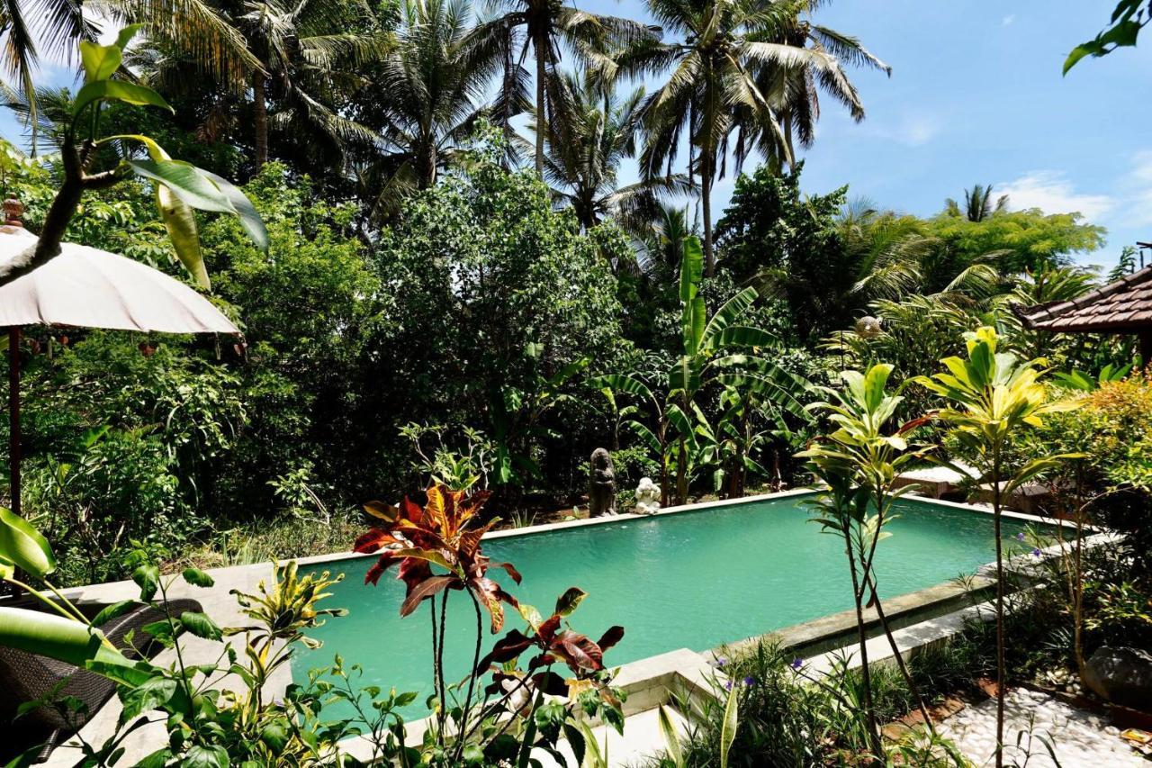 Vinayaka Guest house Ubud (Bali)