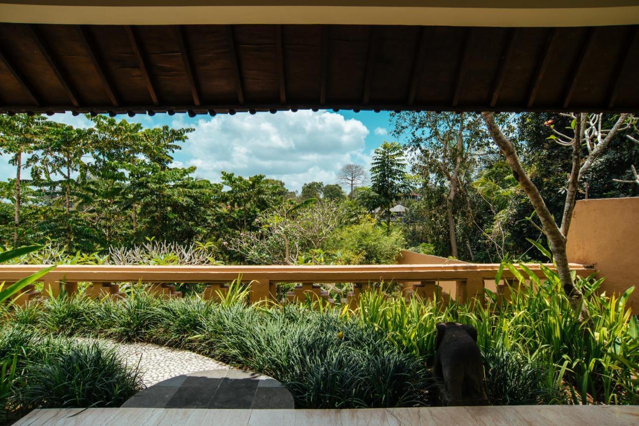 Sunset Hill Ubud (Bali)