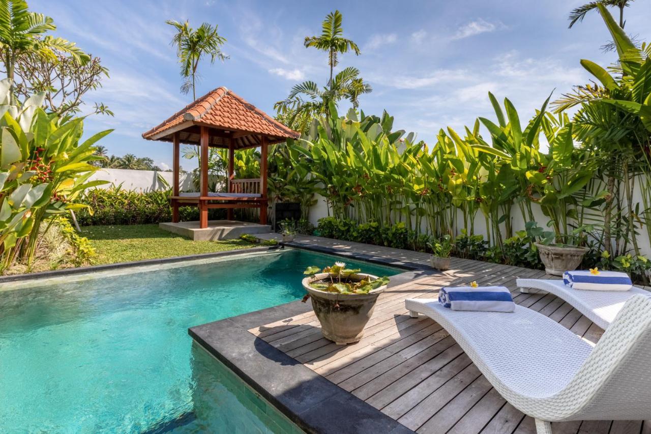 Sawah Ubud (Bali)