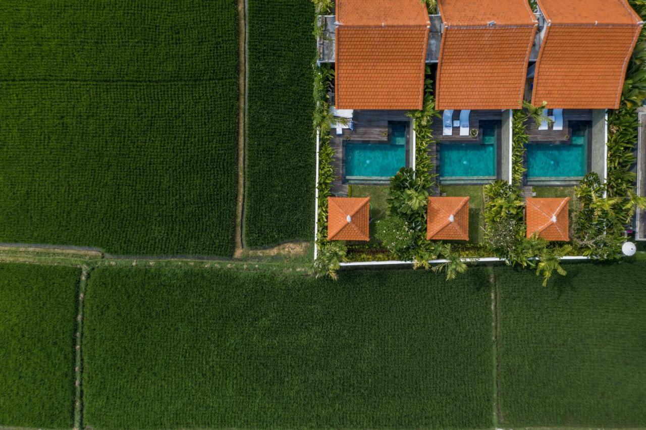Sawah Villa