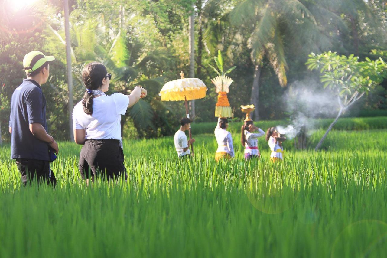 Puri Landu Luxury Villas Villa Ubud (Bali)