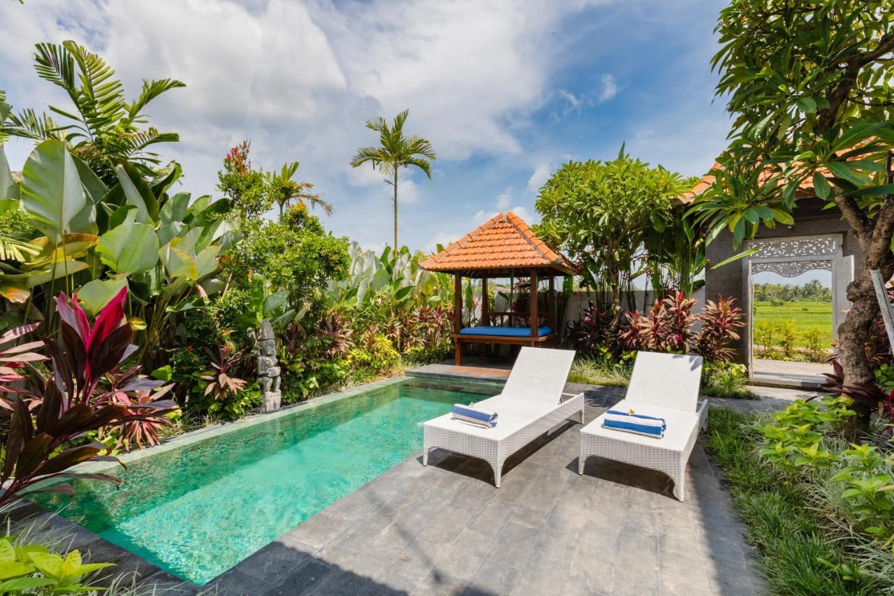 Villa Sawah *