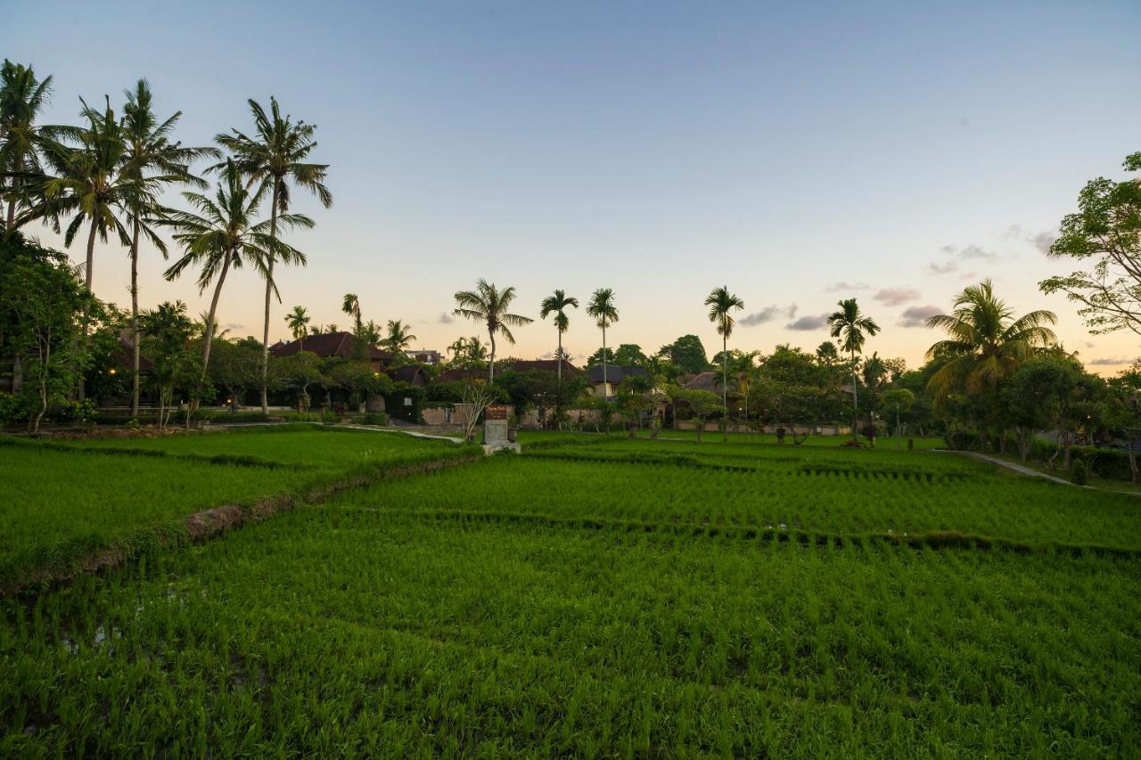 Amatara Agung Raka Resort Ubud (Bali)