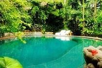 Tjampuhan And Resort Ubud (Bali)
