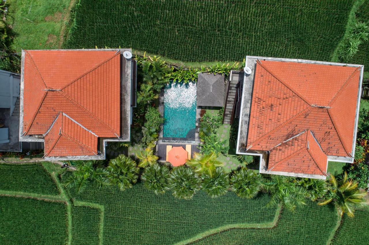 Lodge Cenik