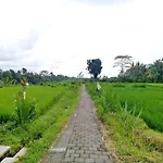 Lovely Sunrise 3 Bedroom Villa