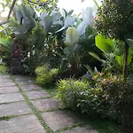 Shiva House