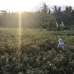 De Dauh Villa