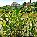 Rendira Villa