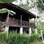 Ubud Jungle Holy Water