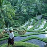Wos Ubud Villa