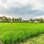 Juli House By Mahaputra
