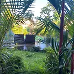 Secret Garden Sky