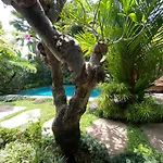 Vishaka Ubud Villa