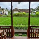 Ayu Guesthouse Ubud