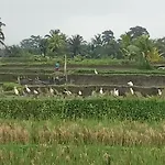 Suksham Retreat Villa