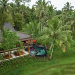 Masakali Retreat