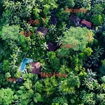 Villa Mahadevi Jungle Retreat Joglo 2