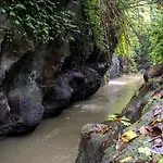 Villa Ubud Canyon