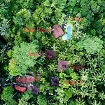 Villa Mahadevi Jungle Retreat Joglo 1